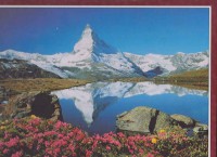 /album/puzzle/img-0003-jpg4/