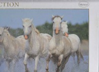 /album/puzzle/img-0010-jpg2/